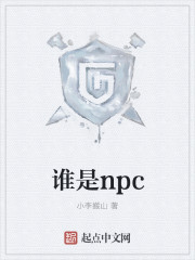 谁是npc